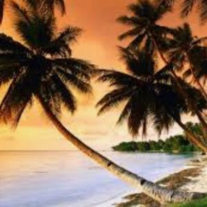 Meet your Posher, Rosalie